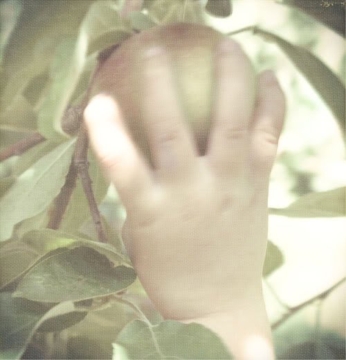 RUGĂCIUNE LA VREME DE ISPITĂ